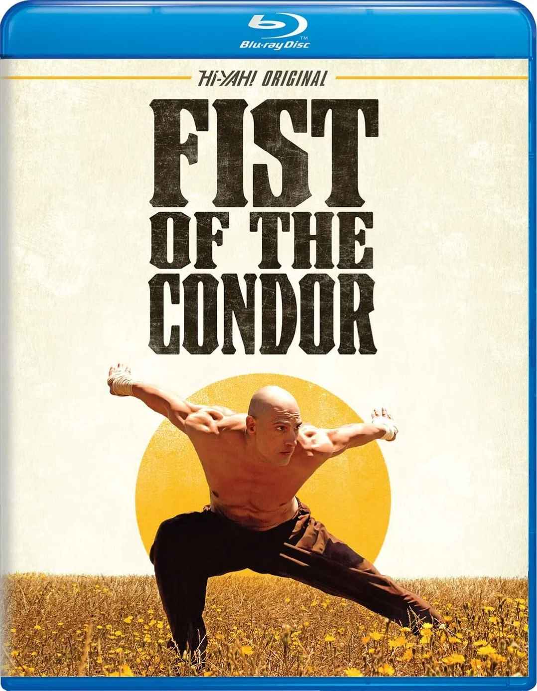 雕形拳