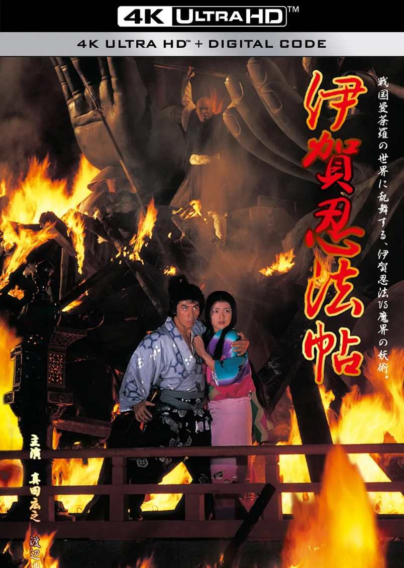伊贺忍法帖
